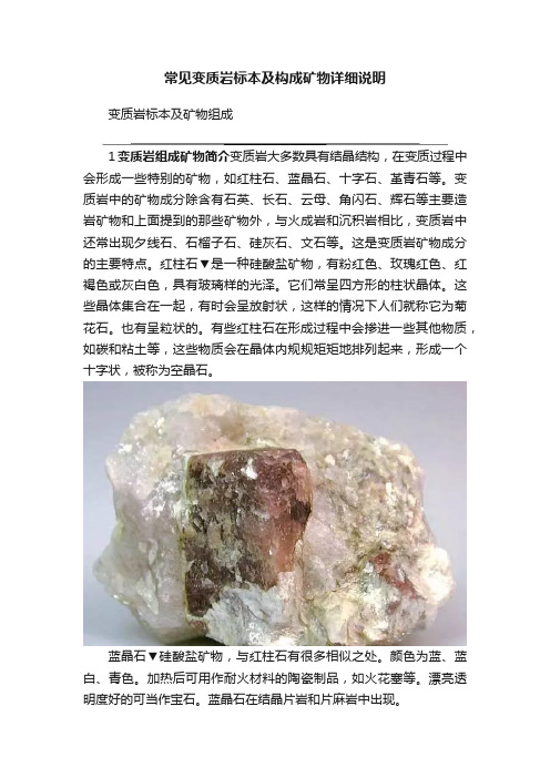 常见变质岩标本及构成矿物详细说明