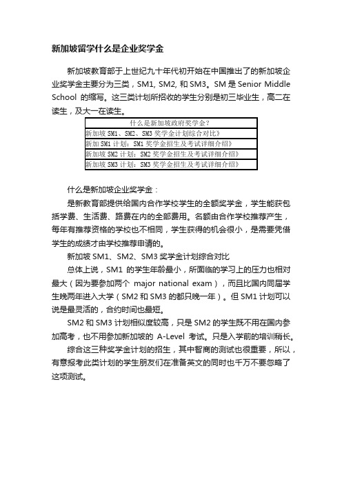 新加坡留学什么是企业奖学金