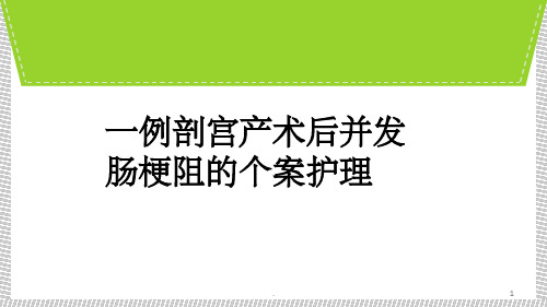 一例剖宫产术后并发肠梗阻个案护理ppt课件