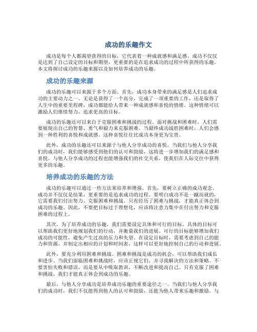 成功的乐趣作文