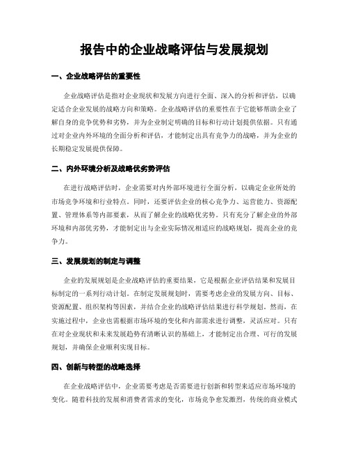 报告中的企业战略评估与发展规划