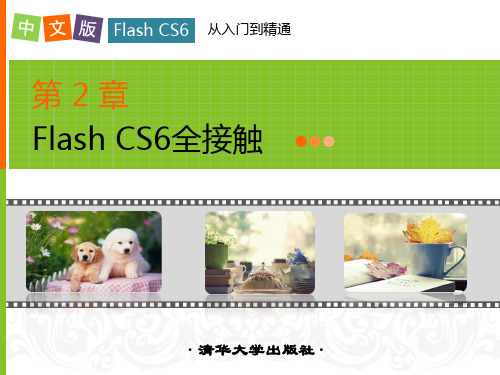 FlashCS6全接触