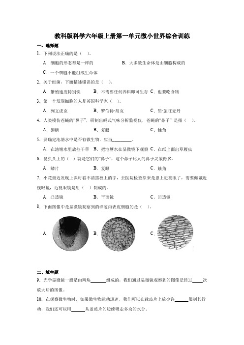 教科版六年级上册科学第一单元《微小世界》综合训练(含答案)