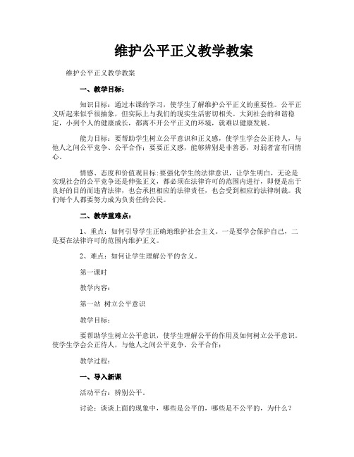 维护公平正义教学教案