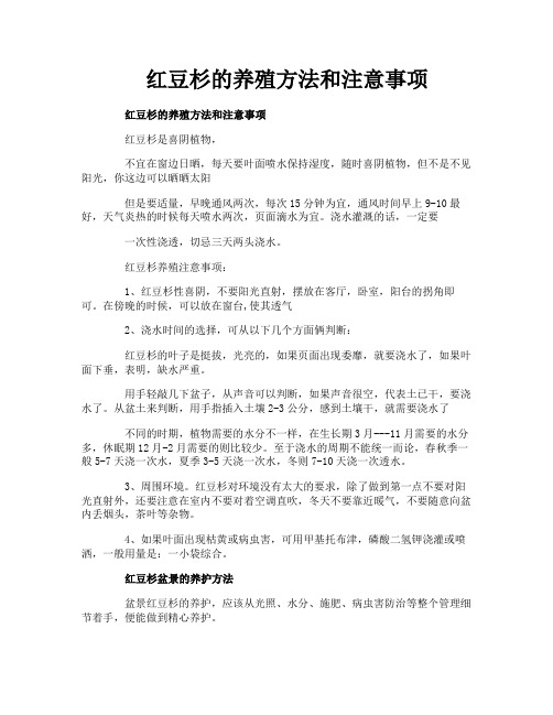 红豆杉的养殖方法和注意事项