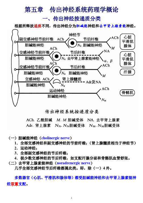 第五章传出神经系统药理学概论