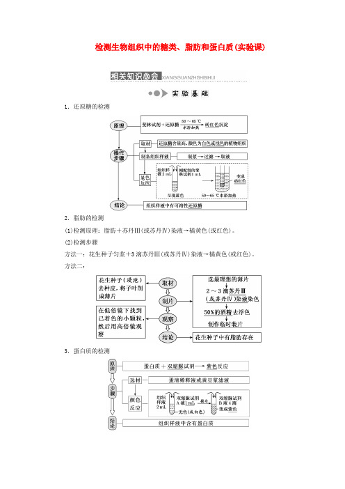 2020版高考生物复习第一单元第三讲检测生物组织中的糖类、脂肪和蛋白质(实验课)学案