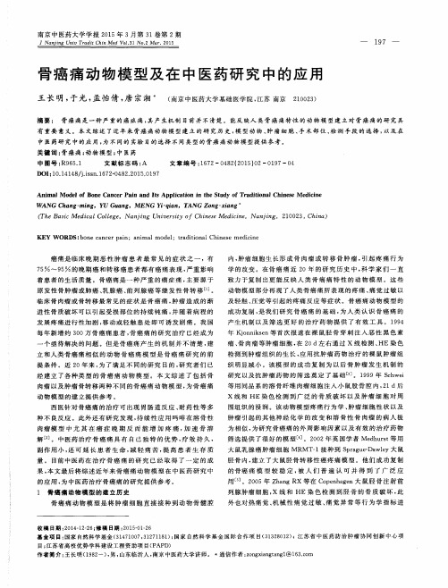 骨癌痛动物模型及在中医药研究中的应用