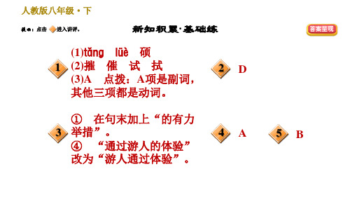 人教版八年级下册语文习题课件第5单元20.一滴水经过丽江0