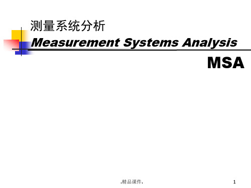 MSA培训培训资料.ppt