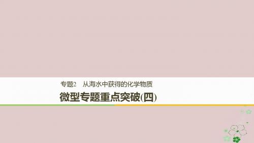 2018高中化学专题2从海水中获得的化学物质微型专题重点突破(四)课件苏教版必修1