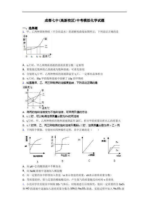 成都七中(高新校区)中考模拟化学试题