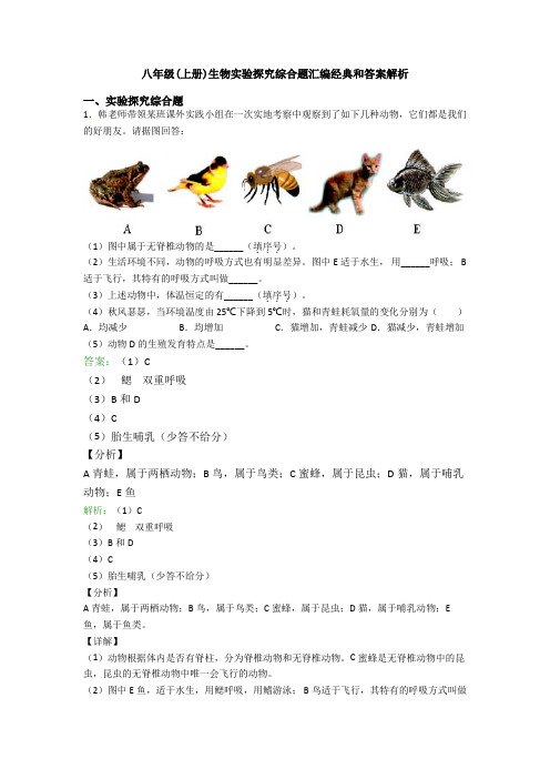 八年级(上册)生物实验探究综合题汇编经典和答案解析