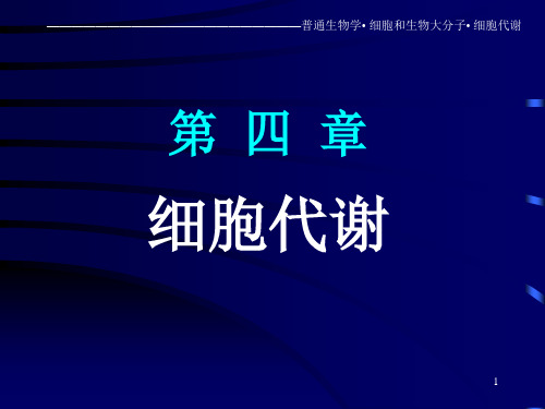 【南京大学 普通生物学课件】细胞代谢