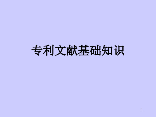 专利文献基础PPT演示课件