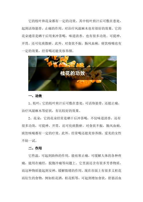 桂花的功效,桂花的功效与作用禁忌