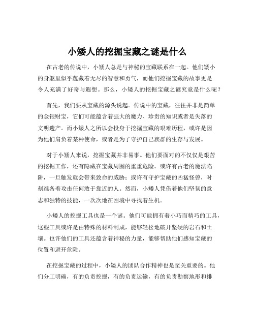 小矮人的挖掘宝藏之谜是什么