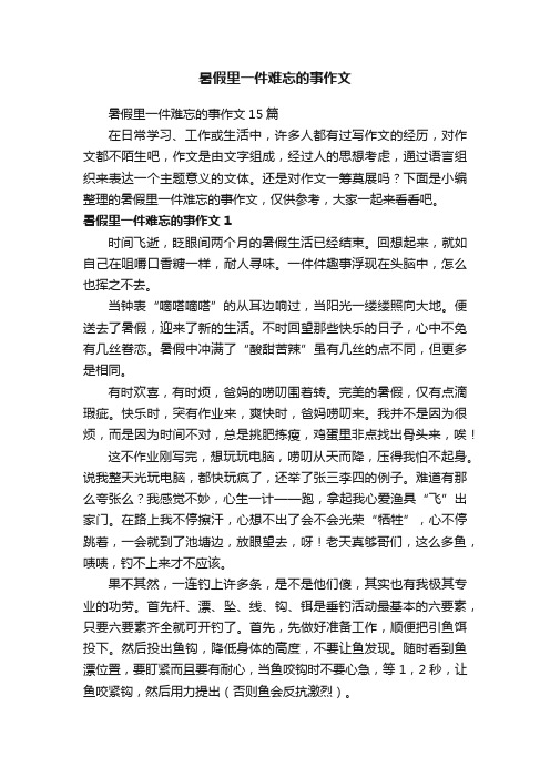 暑假里一件难忘的事作文15篇