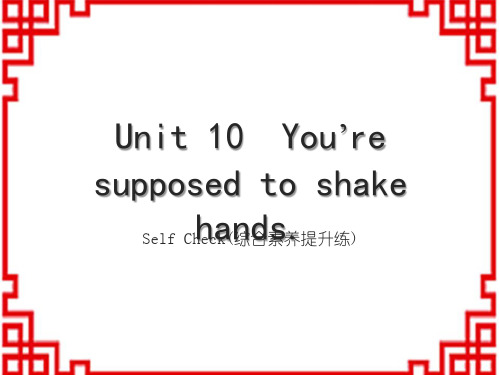 人教版九下英语Unit 10 Self Check(综合素养提升练)