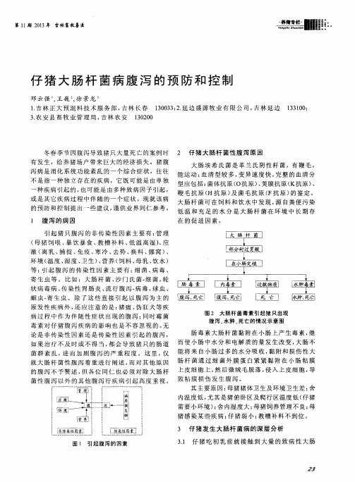 仔猪大肠杆菌病腹泻的预防和控制