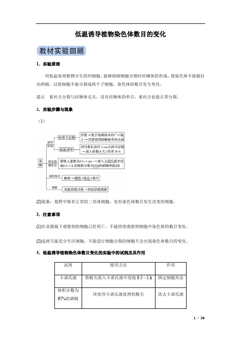 冲刺2020高考生物实验突破专题：低温诱导植物染色体数目的变化(附答案及解析)