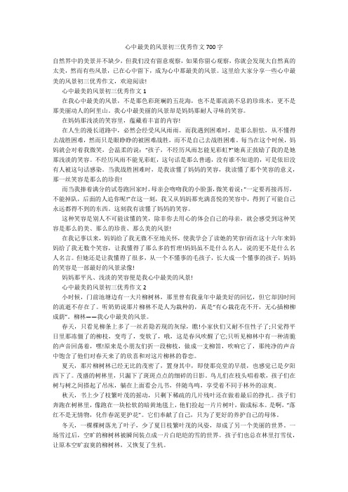 心中最美的风景初三优秀作文700字