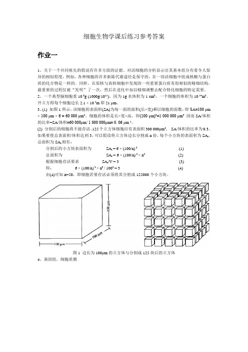 细胞生物学课后练习参考答案