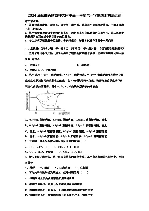 2024届陕西省陕西师大附中高一生物第一学期期末调研试题含解析