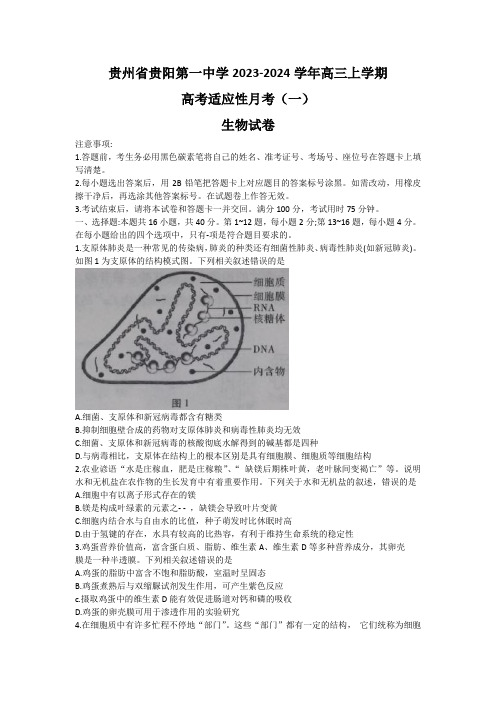 贵阳第一中学2024届高考适应性月考卷(一)生物试卷含答案解析