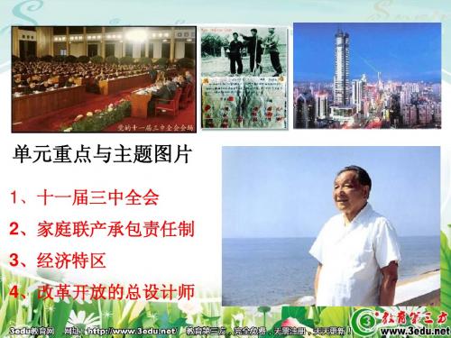 八年级历史下册第三单元复习课件修改版