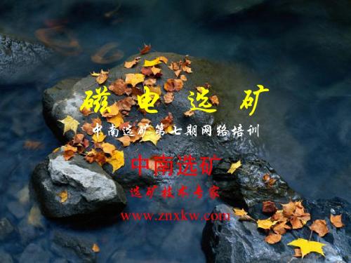 磁 电 选 矿中南选矿第七期网络培训