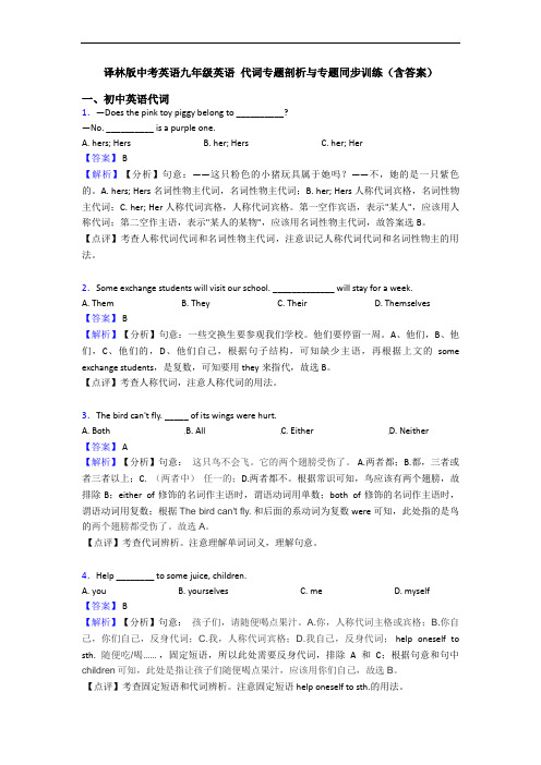 译林版中考英语九年级英语 代词专题剖析与专题同步训练(含答案)