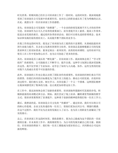 公司培训部的感想