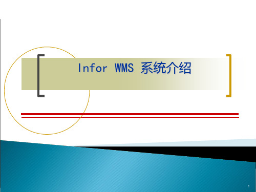 InforWMS系统介绍PPT课件