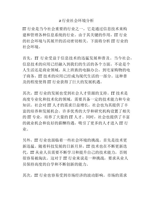 it行业社会环境分析