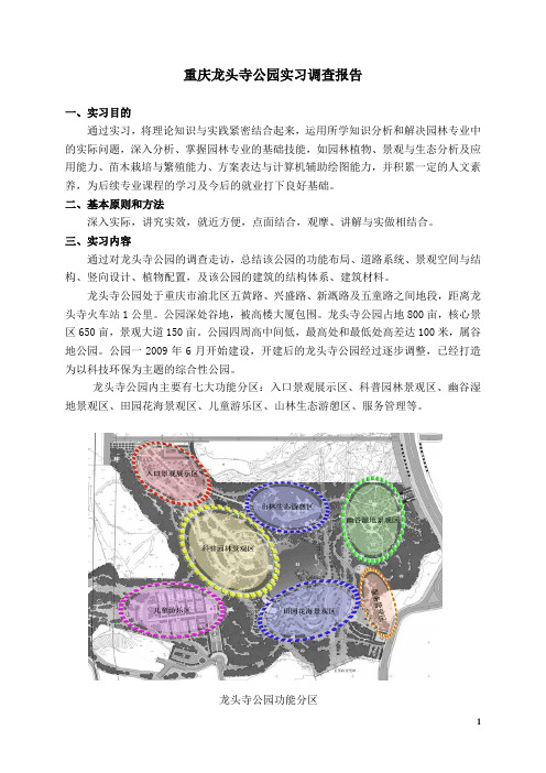 重庆龙头寺公园实习调查报告1