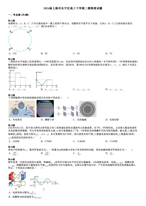 2024届上海市长宁区高三下学期二模物理试题