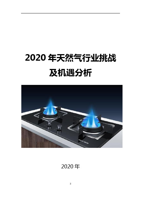 2020年天然气行业调研分析