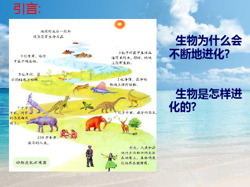 高中生物必修二课件7.1现代生物进化理论的由来(共32张)