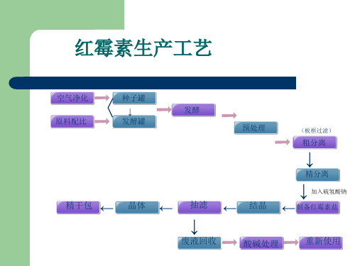 红霉素生产工艺流程