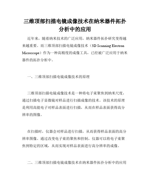 三维顶部扫描电镜成像技术在纳米器件拓扑分析中的应用