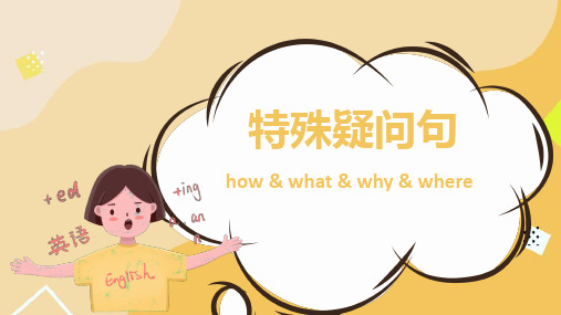 2024年中考复习语法专题-how+what+why+where引导的特殊疑问句