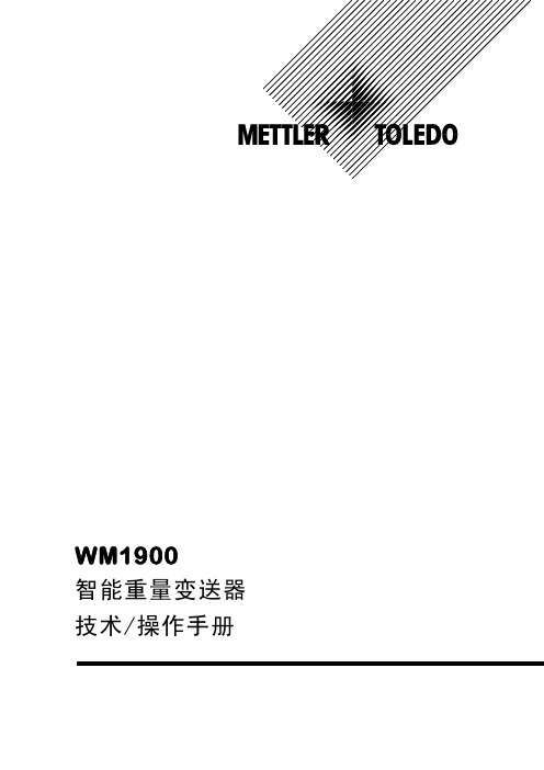 Wm1900技术手册