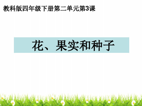 最新教科版科学四年级下册《花果实和种子》精品课件