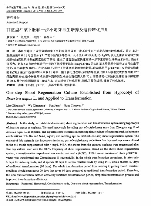 甘蓝型油菜下胚轴一步不定芽再生培养及遗传转化应用