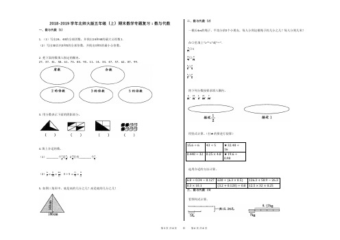 2018-2019学年北师大版五年级(上)期末数学专题复习：数与代数