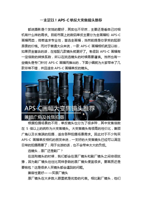 一支足以！APS-C单反大变焦镜头推荐