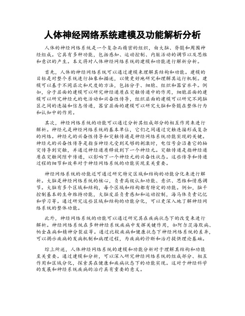 人体神经网络系统建模及功能解析分析