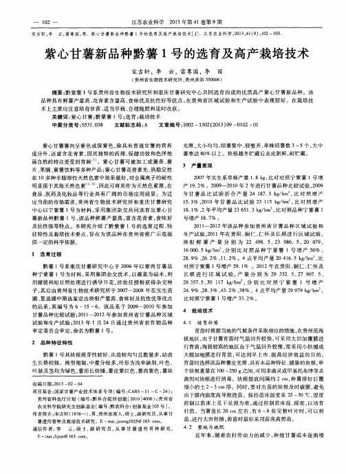 紫心甘薯新品种黔薯1号的选育及高产栽培技术