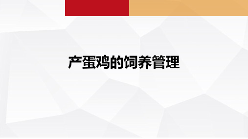 1.3.4产蛋鸡的饲养管理 课件《禽生产》同步教学(中国农业出版社)